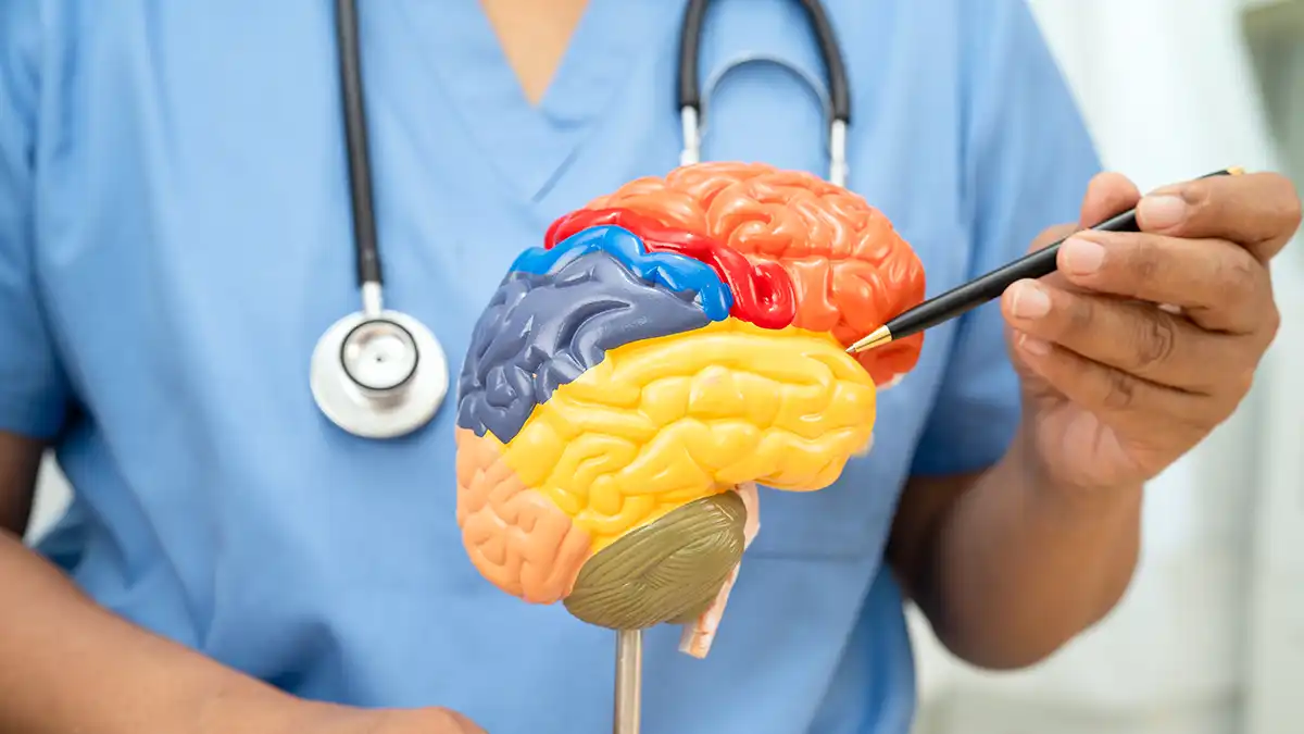 Neurologie: când trebuie să consultați un specialist?