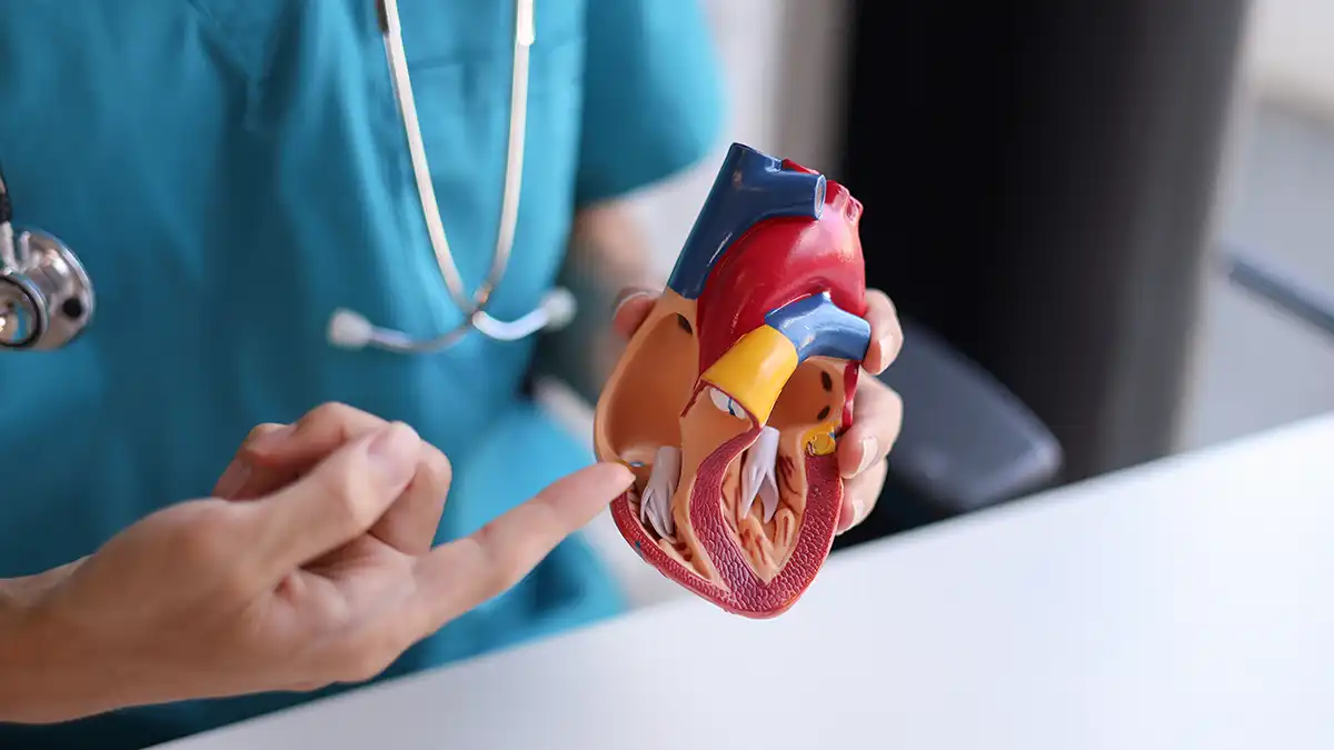 Cardiologie