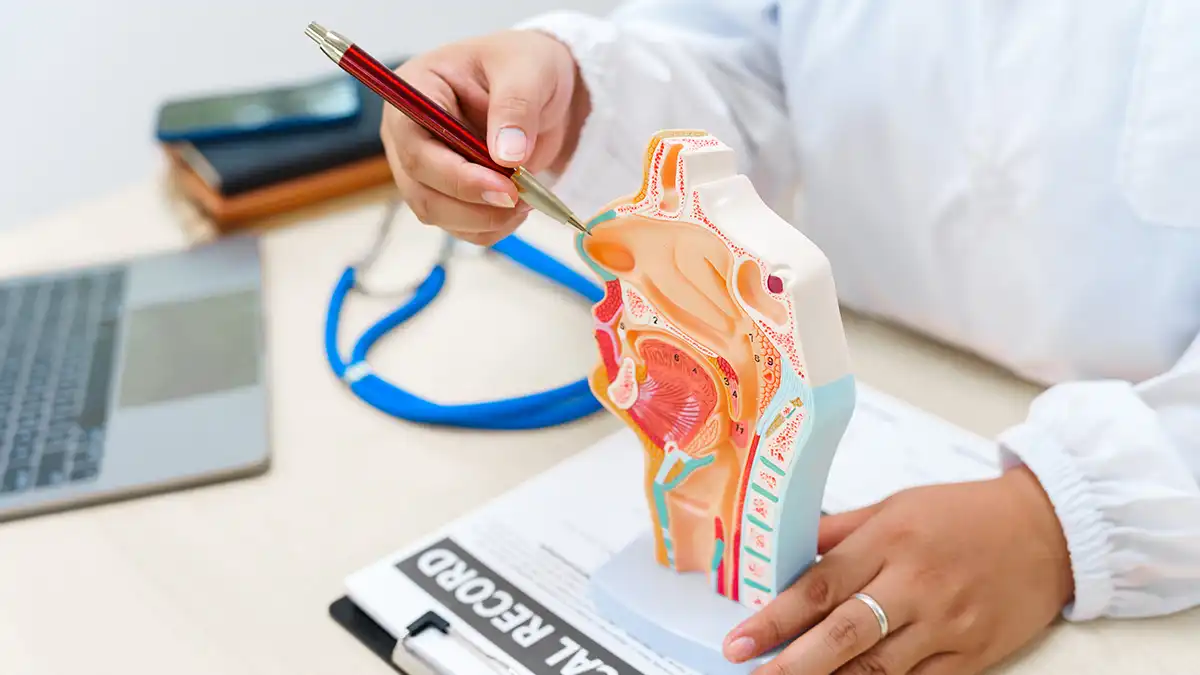 Endocrinologie